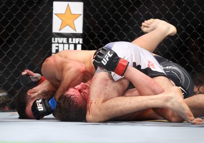 UFC free fight: Nassourdine Imavov stops Edmen Shahbazyan with nasty elbows