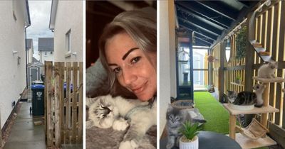 Mum transforms garden into safe cat haven using bargains from Aldi after family kitten was killed