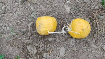 BSF recovers over 4.5 kg heroin from near Indo-Pak border in Punjab