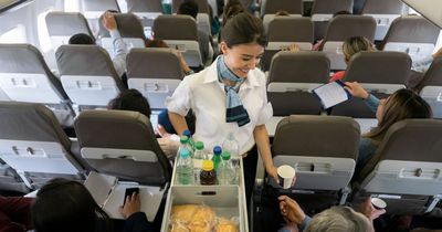 Airline recommends passengers skip its in-flight meals for 'ethical' reasons
