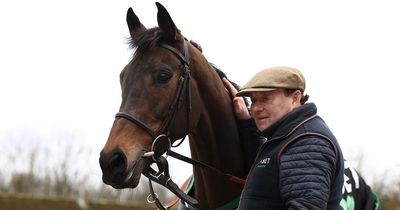 Nicky Henderson holds hands up after failing to enter second favourite for Cheltenham race