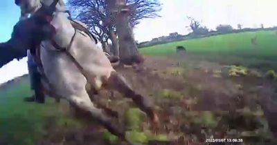 Fox huntsman filmed threatening to 'kill' protester while charging at him on horseback