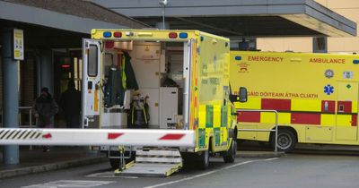 Top Irish doctor says it's likely patients have 'died as a result of avoidable delays' amid hospital crisis