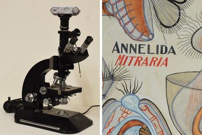 Overlooked work of female scientists finally celebrated in exhibition