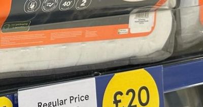 Tesco shoppers ditch electric blankets for £20 heated mattress topper that costs NOTHING to run