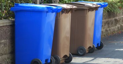 Belfast Councillors “mortified” by “absolute failure” of Christmas bin collection