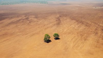 Images suggest land being cleared for cotton farming before permits granted