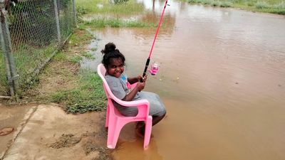 Kimberley residents step up to help evacuees, save wildlife amid unprecedented WA flood emergency