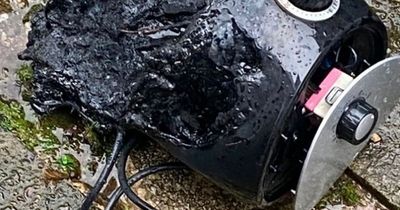 Mum left horrified after air fryer explodes into flames following strange smell