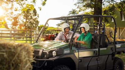 Agriculture among 180,000 fee-free TAFE courses offered as part of government plan to address labour shortages