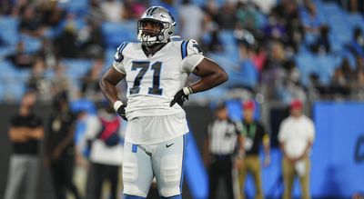 Panthers cut DT Phil Hoskins