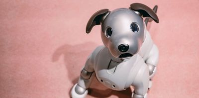 Is it OK to kick a robot dog?