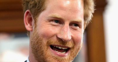 Prince Harry says he watches The Crown to make sure Netflix gets it right