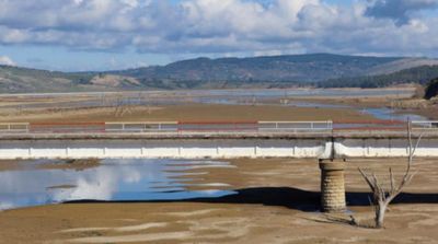 Tunisian Droughts Threaten Food Security