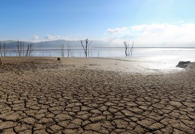 'Dangerous' Tunisian droughts threaten food security