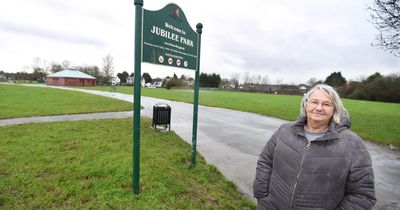 Tensions rise over potential plans for community park