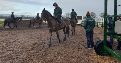 Grand National hero Noble Yeats on course for double bid