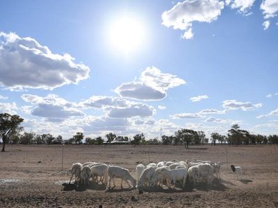 Peril as warming alters planet water cycle