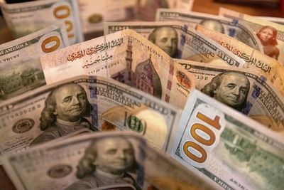 Crisis-hit Egypt's currency halved in value since March