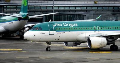 Aer Lingus launches flash sale with €179 New York flights and other deals for LA, European and UK