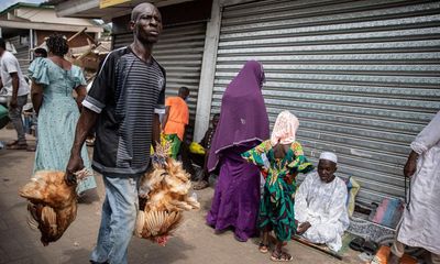 Animals Farmed: salmon farm disease, chicken tariffs in Africa and the return of China’s wildlife farms