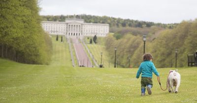 Stormont dog walk to help NI families cope with cancer