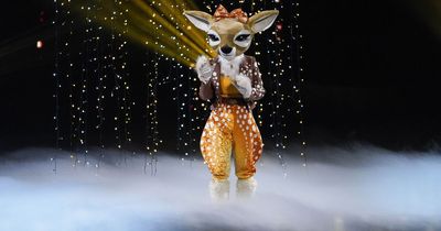 The Masked Singer fans convinced Fawn is noughties pop legend after four telling clues
