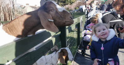 Edinburgh Zoo understood to be among potential new Gorgie Farm operators