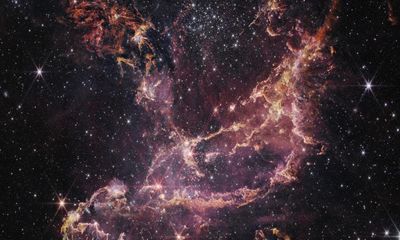 Image of star cluster sheds light on early stages of universe