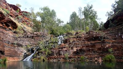 Western Australia looks for ways to protect its share of nation's 30pc land conservation target
