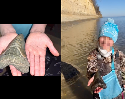 Nine-year-old girl discovers rare 15-million-year-old shark tooth at Maryland beach