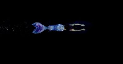 Bristol Light Festival 2023 confirms new installations including stunning underwater projection at harbourside