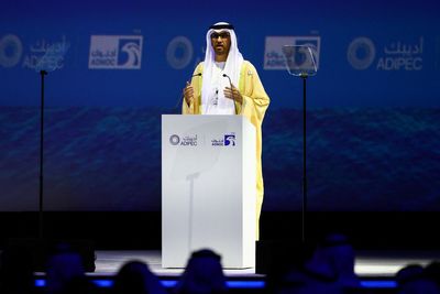 UAE names oil boss to lead climate summit, worrying activists