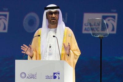 UAE names technocrat to lead upcoming UN COP28 climate talks