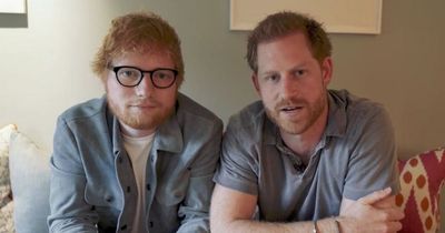 Ed Sheeran beats Prince Harry in chart (of sexiest ginger people)