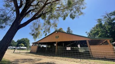 Bathurst showground cattle pavilion restoration granted $410,000 by NSW government