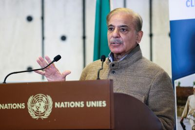 Pakistan PM to seek fresh economic package from UAE - report