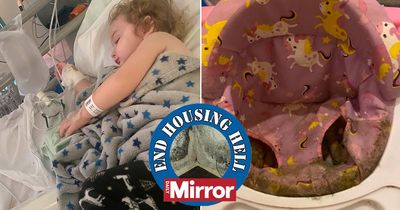Toddler in mouldy flat hospitalised with pneumonia as sister 'gasps for air at night'