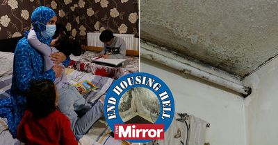 Family-of-six trapped in mouldy studio flat told they must wait 13 YEARS for bigger home