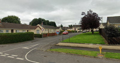 PSNI appeal after man 'slashed with knife and robbed' while walking dog in Co Tyrone