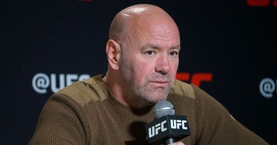 Dana White won't resign as UFC president after slapping his wife