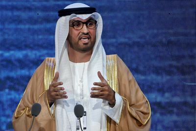 Oil boss as climate talks host: what's behind UAE's choice?