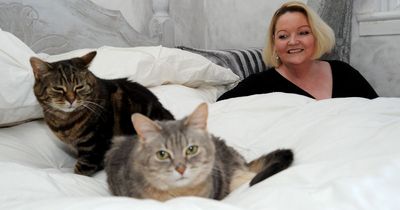 Paisley cat-sitter's new dating app will help lonely hearts find that loving feline