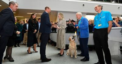 Rosie the dog steals show as she meets Prince William and Kate