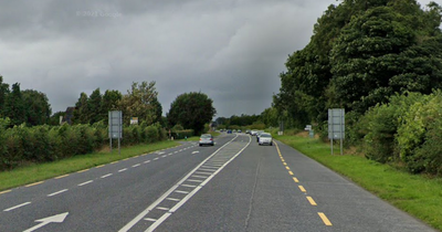 Gardai renew appeal for information on fatal crash involving car and lorry in Westmeath