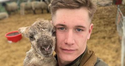 Inside Love Island's hot farmer Will's life from luxe £1 million estate to raising sheep