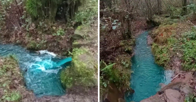 Cardiff woodland stream turned fluorescent blue