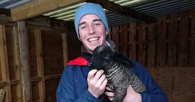 Callander high school pupils in charity shop initiative in memory of tragic vet