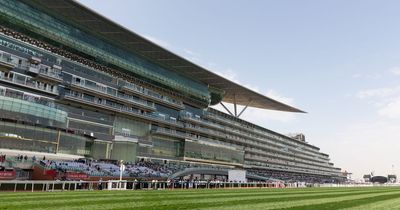 Flamingo Girl begins extraordinary comeback in Dubai as gelding after 'sex change'