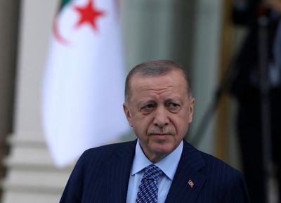 Turkey summons Swedish envoy over 'heinous' protest action